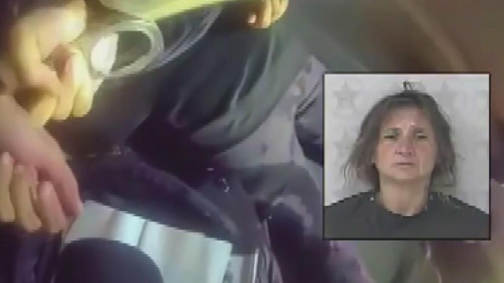 Video shows arrest of Broward woman accused of stealing BSO patrol vehicle, driving it 90 miles — CBS Miami, Carrington Community news